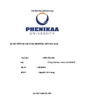 Bài tiểu luận kết thúc học phần Thực hành Tiếng Việt | Trường Đại học Phenikaa