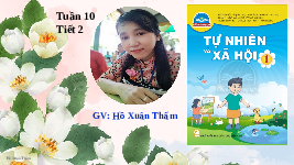 Giáo án điện tử Tự nhiên và xã hội 1 bài 10 Chân trời sáng tạo : Ôn tập chủ đề Trường học