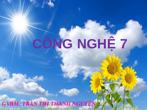 Giáo án điện tử Công nghệ 7 Bài 3 Chân trời sáng tạo: Quy trình trồng trọt