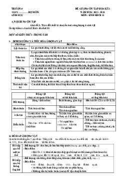 Đề cương ôn tập học kì 1 môn Sinh học 11 sách Cánh diều