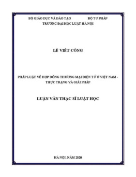 Luận văn: Pháp luật về hợp đồng thương mại điện tử ở Việt Nam - Thực trạng và giải pháp Môn Thương mại điện tử | Trường Đại học Huế