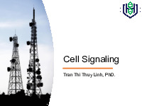 Bài giảng Cell signaling môn Sinh học tế bào | Đại học Bách Khoa Hà Nội