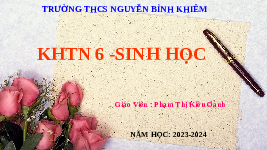 Giáo án điện tử Khoa học tự nhiên 6 bài 19 Chân trời sáng tạo : Cơ thể đơn bào và cơ thể đa bào