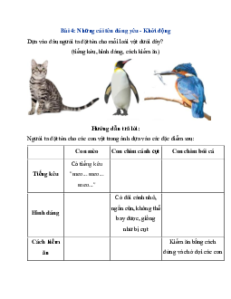 Giải SGK Tiếng Việt 3 trang 19, 20 Bài 4: Những cái tên đáng yêu - Phần đọc | Kết nối tri thức