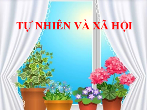 Bài 4.Tiết 8: Giữ vệ sinh nhà ở | Bài giảng PowerPoint | Tự nhiên và xã hội 2 | Cánh diều (Cả năm)