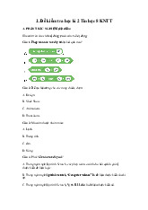 Đề thi học kỳ 2 môn Tin học lớp 8 năm học 2024 - 2025 | Bộ sách Kết nối tri thức