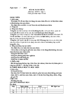 Giáo án Bài 18: Nam châm | Khoa Học Tự Nhiên 7 Kết nối tri thức