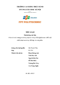 Phân tích môi trường marketing của kem Tràng Tiền,Nghiên cứu và Đề xuất chiến thuật marketing hỗn hợp cho sản phẩm | Tiểu luận môn Marketing