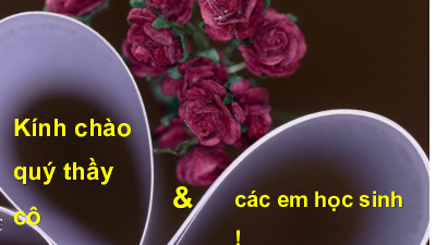 Bài 1. Tiết 5, 6, 7: Chữ người tử tù | Bài giảng PowerPoint môn Ngữ văn 10 | Kết nối tri thức với cuộc sống