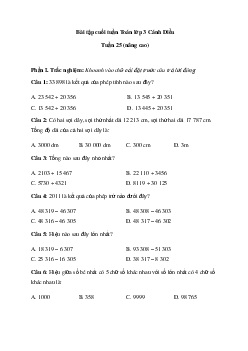 Phiếu bài tập cuối tuần lớp 3 - Tuần 25 (nâng cao) | Cánh Diều