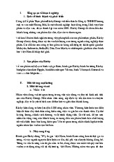 Marketing Strategy Analysis of Richy Group môn Marketing căn bản | Trường đại học Mở Hà Nội