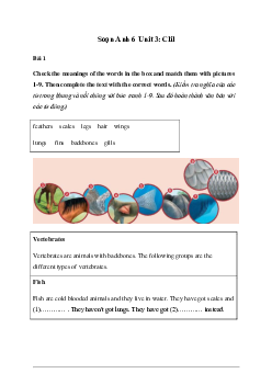 Giải Tiếng Anh 6 Unit 3: Clil - Friends Plus