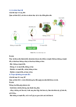Giải sách giáo khoa môn Khoa học tự nhiên lớp 6 Bài 19: Đa dạng thực vật | Sách Cánh Diều