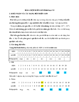 Sinh học 12 bài 4: Đột biến gen