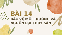 Giáo án điện tử Công nghệ 7 Bài 14 Chân trời sáng tạo: Bảo vệ môi trường và nguồn lợi thuỷ sản
