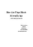Báo Cáo Thực Hành di truyền học - Thực hành Hóa Đại Cương | Trường Đại học Nam Cần Thơ