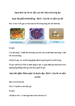 Soạn bài Cậu bé và mẩu san hô trang 106 | Tiếng việt 3 Chân trời sáng tạo