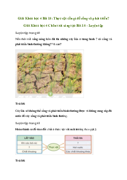 Giải Khoa học lớp 4 Bài 15: Thực vật cần gì để sống và phát triển?| Chân trời sáng tạo