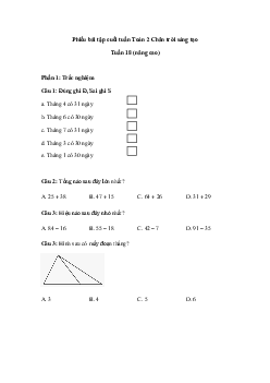 Đề kiểm tra cuối tuần Toán lớp 2| Chân trời sáng tạo - Tuần 18 (nâng cao)