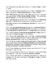 Hệ Tiết Niệu: Cấu Tạo và Chức Năng môn Sinh lý bệnh | Trường Đại Học Tây Nguyên