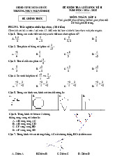 Đề giữa học kì 2 Toán 6 năm 2024 – 2025 trường THCS Nguyễn Huệ – BR VT có đáp án