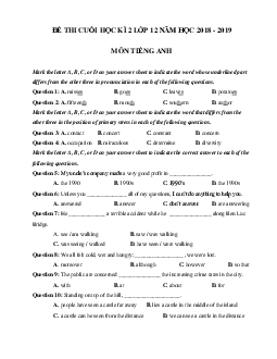 Đề thi học kì 2 lớp 12 môn Tiếng Anh năm học 2018 - 2019 số 4