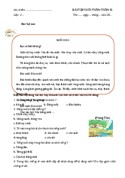 Phiếu Bài tập cuối tuần tiếng Việt lớp 2 học kì 2 | Cánh diều Tuần 25 cơ bản