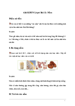 Giải KHTN Lớp 6 Bài 32: Nấm | Kết nổi tri thức