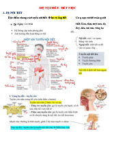 HỆ NỘI TIẾT VÀ TIẾT NIỆU: Đặc Điểm và Chức Năng môn Sinh học | Trường Đại Học Y Dược Thái Bình