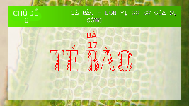 Giáo án điện tử Khoa học tự nhiên 6 bài 17 Chân trời sáng tạo : Tế Bào