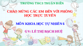Giáo án điện tử Khoa học tự nhiên 6 bài 19 Chân trời sáng tạo : Cơ thể đơn bào và cơ thể đa bào