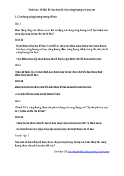 Giải Sinh học 10 Bài 10: Sự chuyển hóa năng lượng và enzyme | Cánh diều