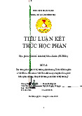 Tiểu luận Kinh tế thị trường định hướng Xã hội Chủ nghĩa môn Kinh tế chính trị | Học viện Ngân hàng