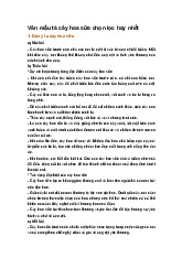 Văn mẫu tả cây hoa sữa chọn lọc hay nhất