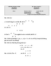 Đề thi giữa học kỳ môn toán cao cấp | Trường Đại học Kinh tế Thành phố Hồ Chí Minh