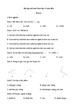 Bài tập cuối tuần Toán lớp 4 Cánh diều - Tuần 6