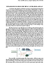 Xét nghiệm phân mảnh DNA tinh trùng và hỗ trợ trong sinh sản  | Lý thuyết sinh học | Trường Đại học khoa học Tự nhiên
