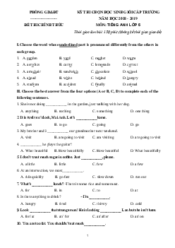 Đề thi học sinh giỏi lớp 6 môn Tiếng Anh năm học 2018 - 2019 số 12