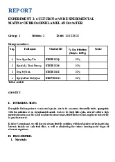 Report 2: Culturing & Mating Drosophila Melanogaster | Môn Genetics Laboratory - Trường Đại học Quốc tế, Đại học Quốc gia Thành phố Hồ Chí Minh