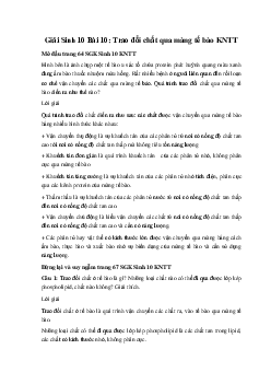 Giải Sinh 10 Bài 10: Trao đổi chất qua màng tế bào | Kết nối tri thức