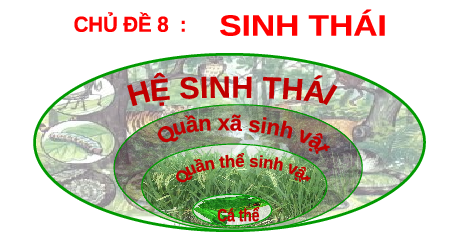 Giáo án điện tử Khoa học tự nhiên 8 Bài 39 Kết nối tri thức: Da và điều hòa thân nhiệt ở người