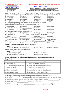 Đề thi học kỳ 2 Tiếng Anh Sở GD Quảng Nam 2 kỹ năng năm 2020-2021 (có lời giải)