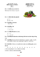 Đề Thi Học Kì 1 Toán 6 Cánh Diều THCS Cần Thạnh 2025-2026 Có Đáp Án