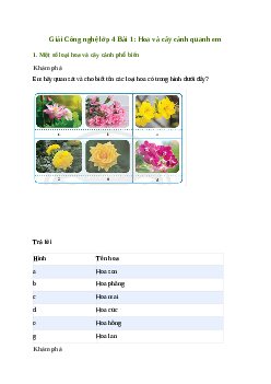 Giải Công nghệ lớp 4 Bài 1: Hoa và cây cảnh quanh em | Chân trời sáng tạo