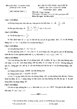 Đề tuyển sinh lớp 10 chuyên môn Toán (chung) năm 2023 – 2024 sở GD&ĐT Quảng Nam