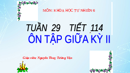 Giáo án điện tử Khoa học tự nhiên 6 Chân trời sáng tạo : Ôn tập giữa kỳ II ( tiết 114 )