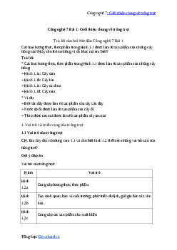 Giải Công nghệ 7 Bài 1: Giới thiệu chung về trồng trọt | Cánh diều