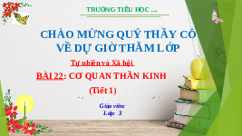 Giáo án điện tử TN&XH 3 Bài 23 Kết nối tri thức: Chăm sóc và bảo vệ cơ quan thần kinh
