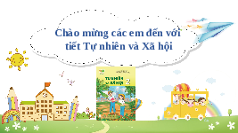 Giáo án điện tử Tự nhiên và Xã hội 2 Bài 19 Kết nối tri thức: Thực vật và động vật quanh em