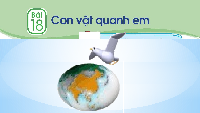 Giáo án điện tử Tự nhiên và xã hội 1 bài 18 Chân trời sáng tạo : Con vật quanh em